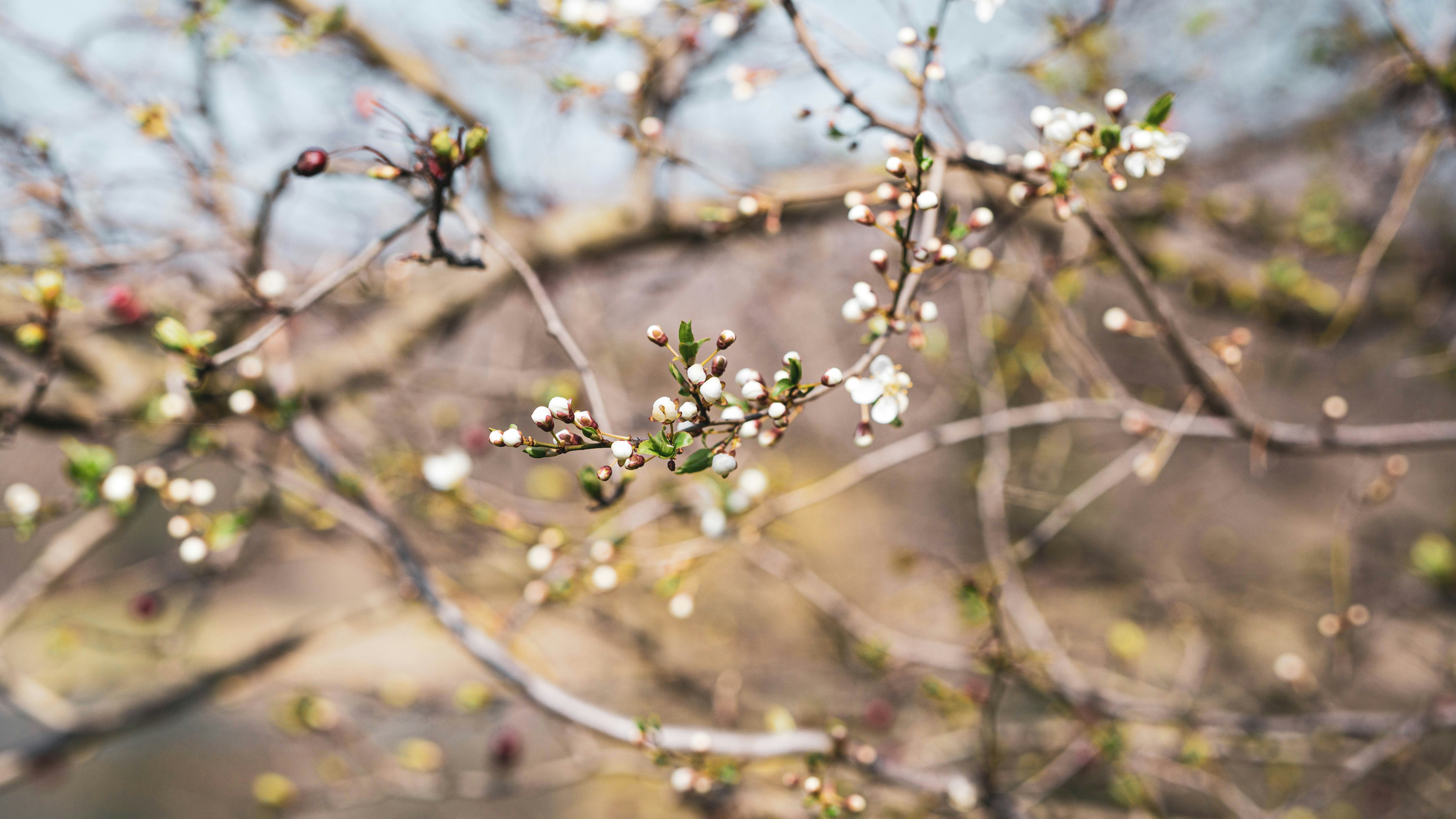 Photo by annadudkova