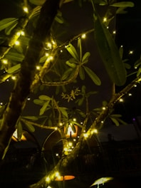 A serene tree glowing softly with sparkling lights symbolizing growth and inspiration.