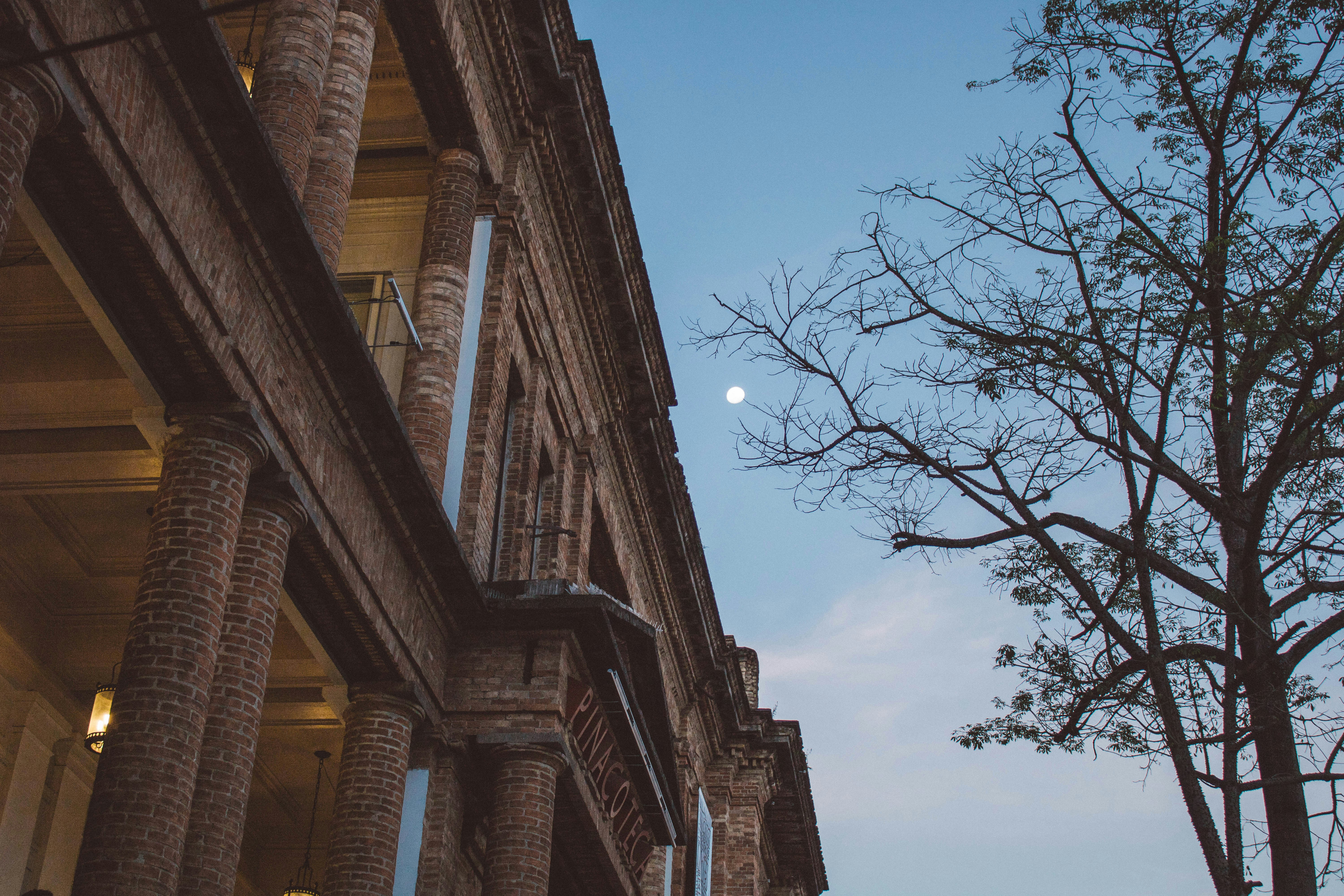 Photo by moniquecarrati