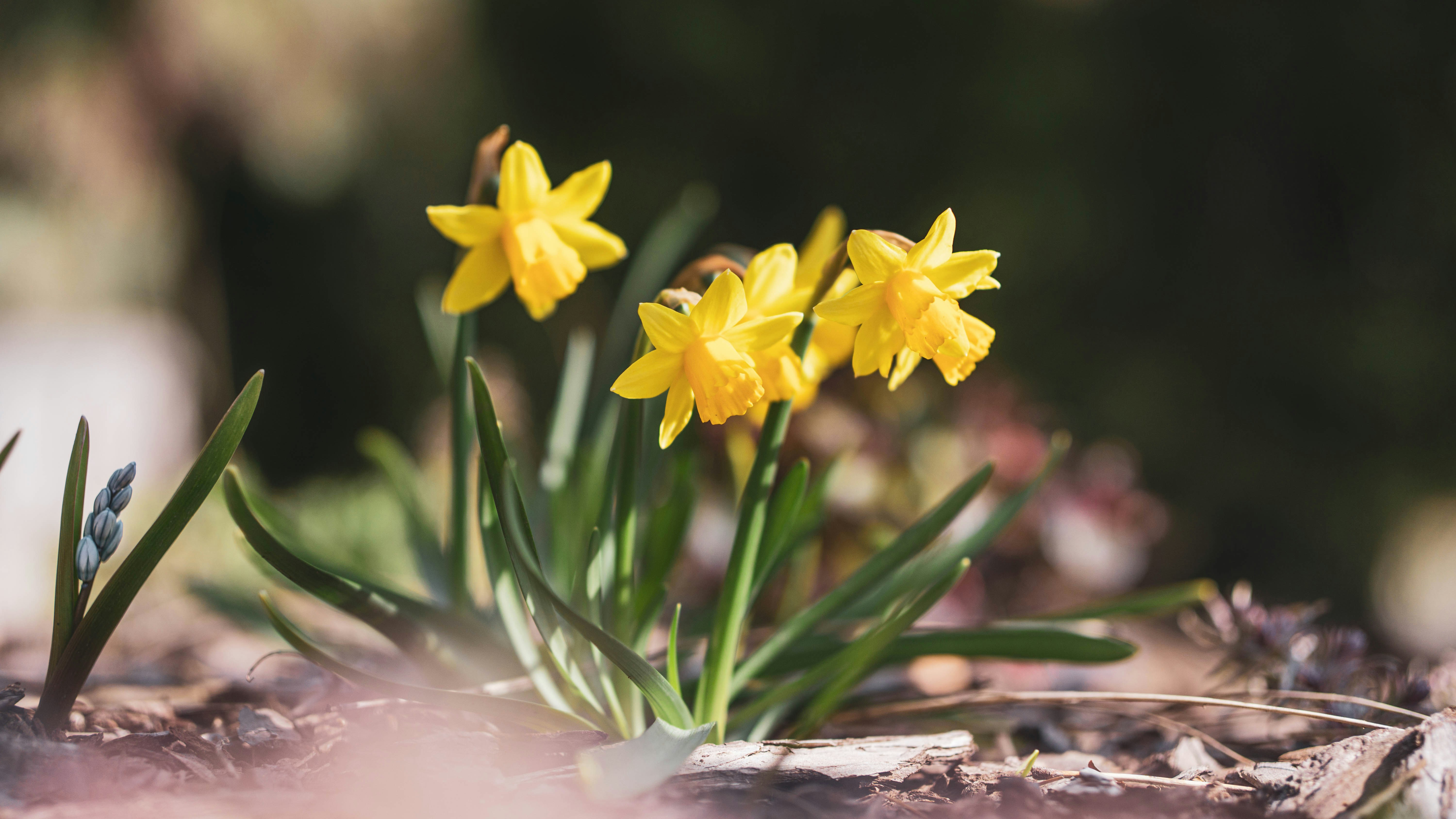 Photo by annadudkova