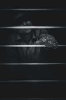 A powerful image representing hope and transformation in an incarcerated individual's journey.