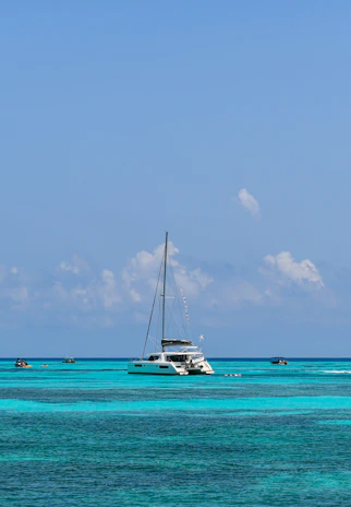 white sailboat on sea under blue sky during daytime