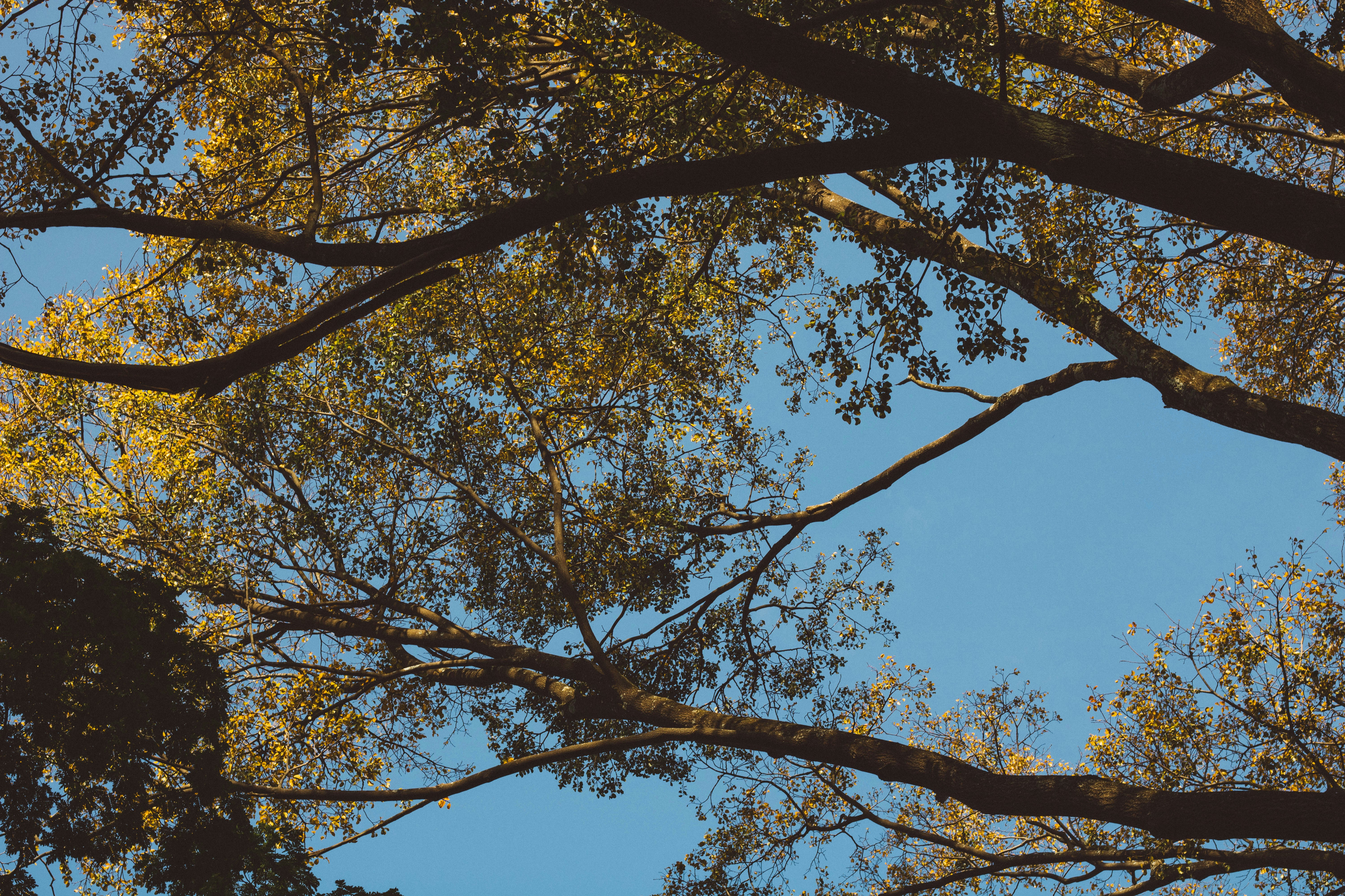 Photo by moniquecarrati