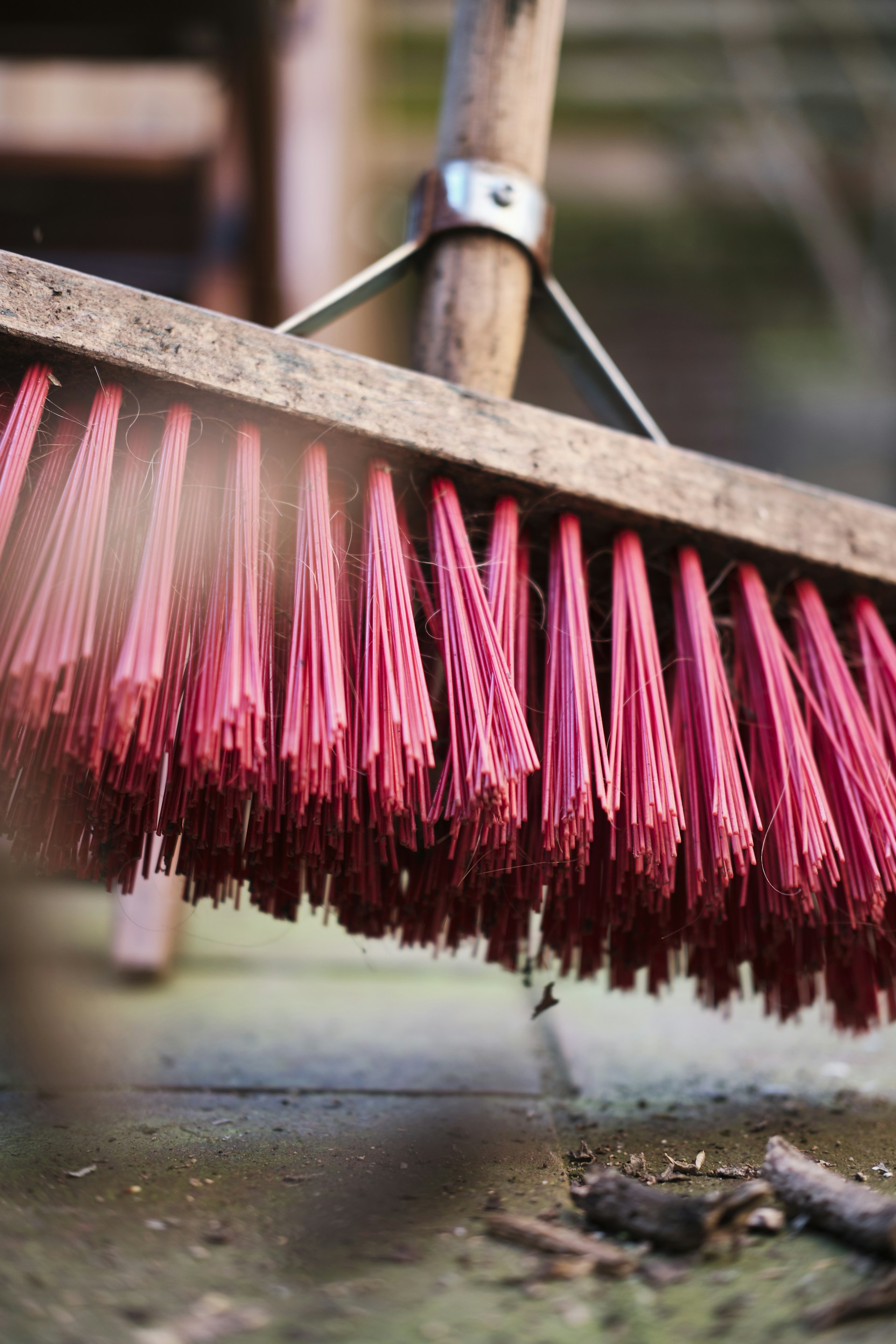 Close-up of a sturdy dish brush scrubbing a soapy plate, highlighting its strong bristles and ergonomic handle.