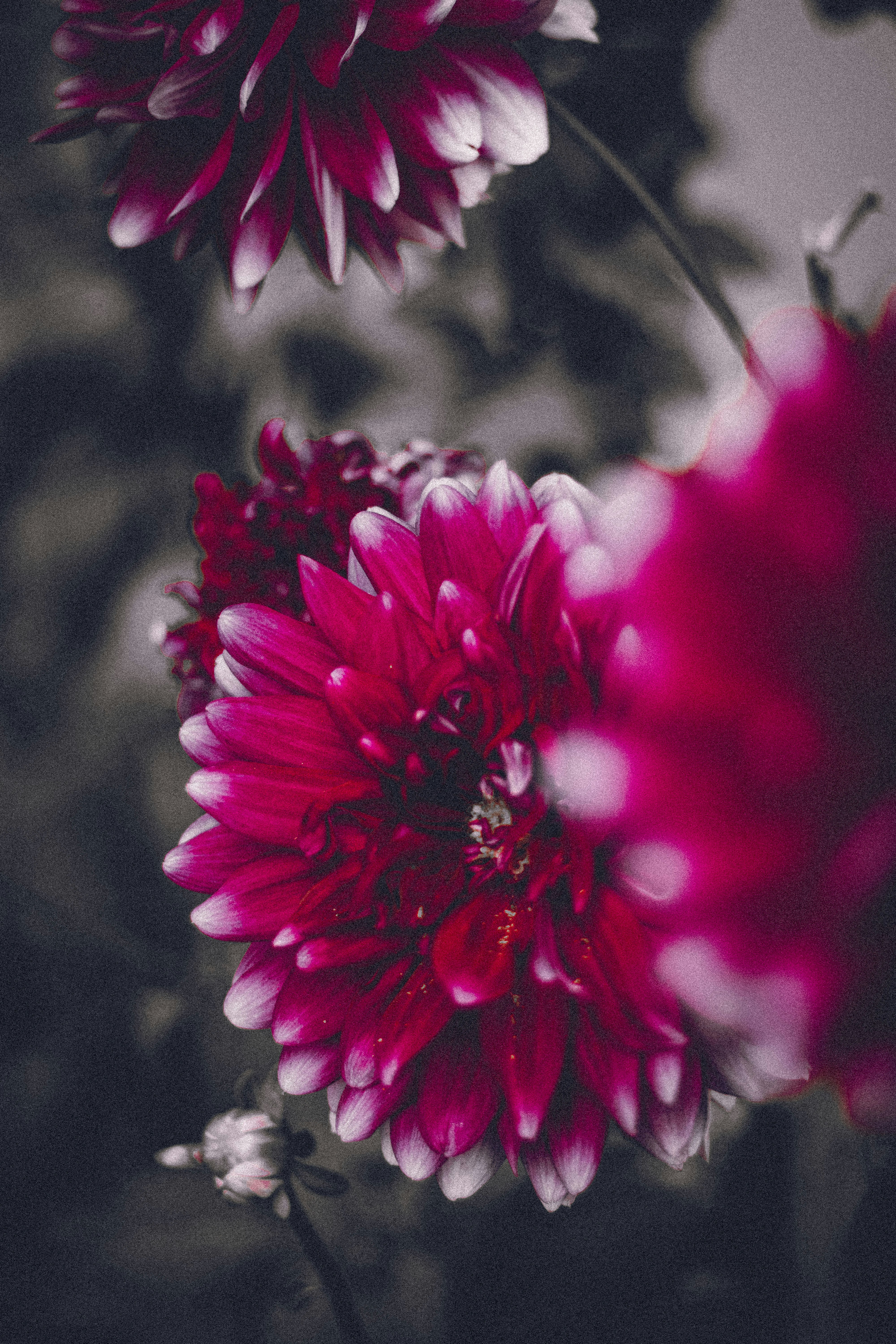 Photo by devasangbam