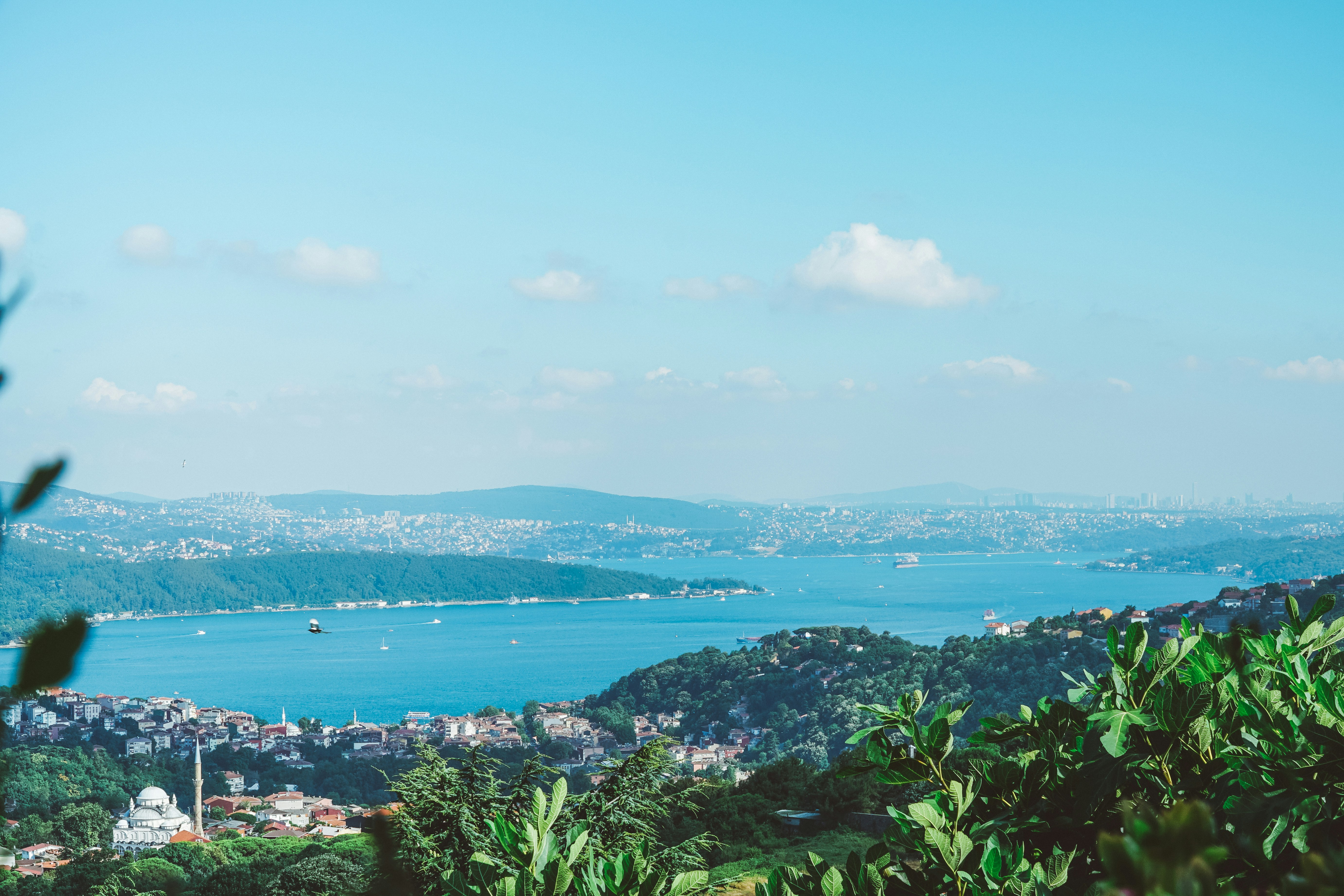 Photo by mertkahveci