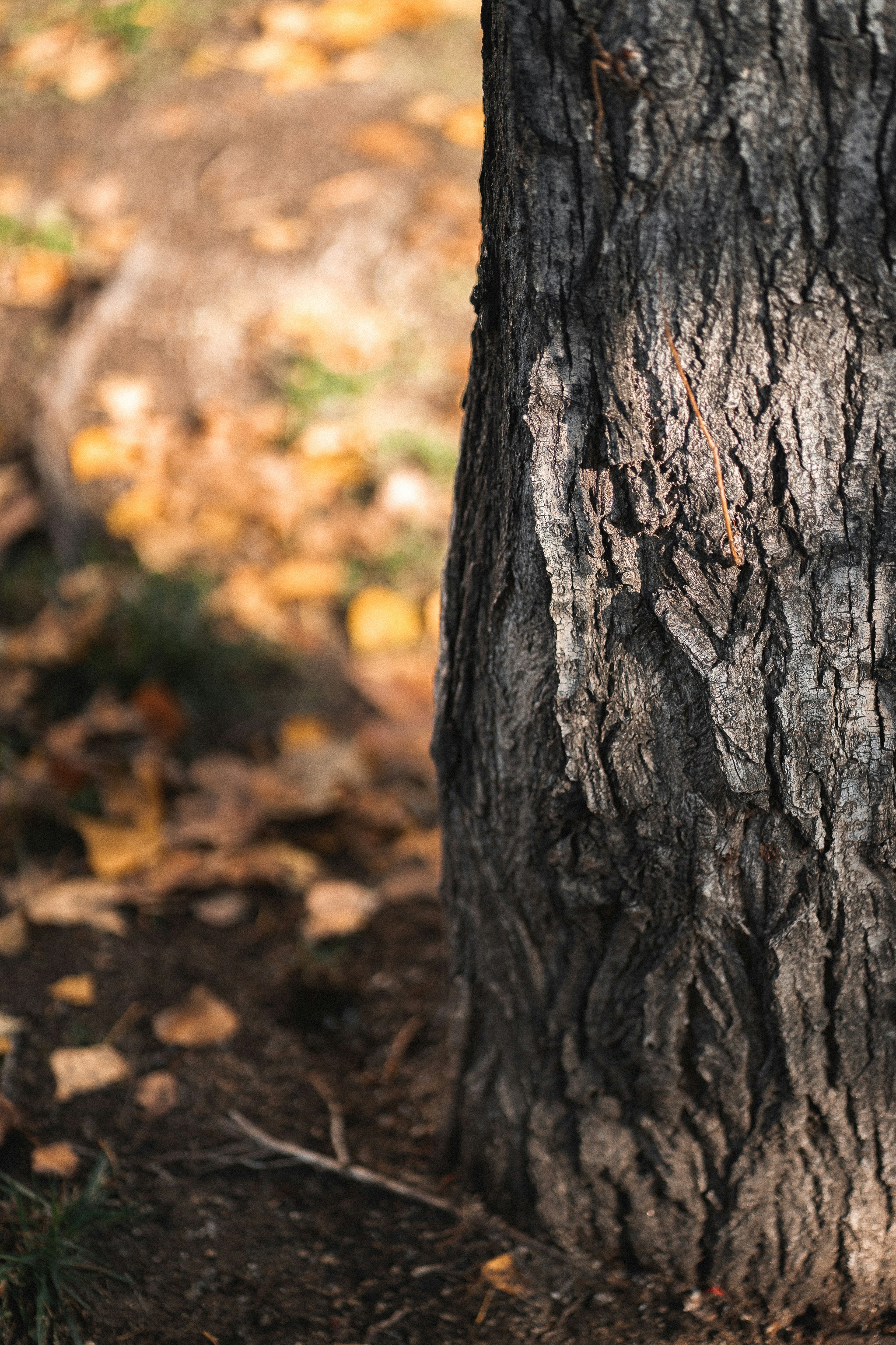 Photo by salvadorgodoyladrero