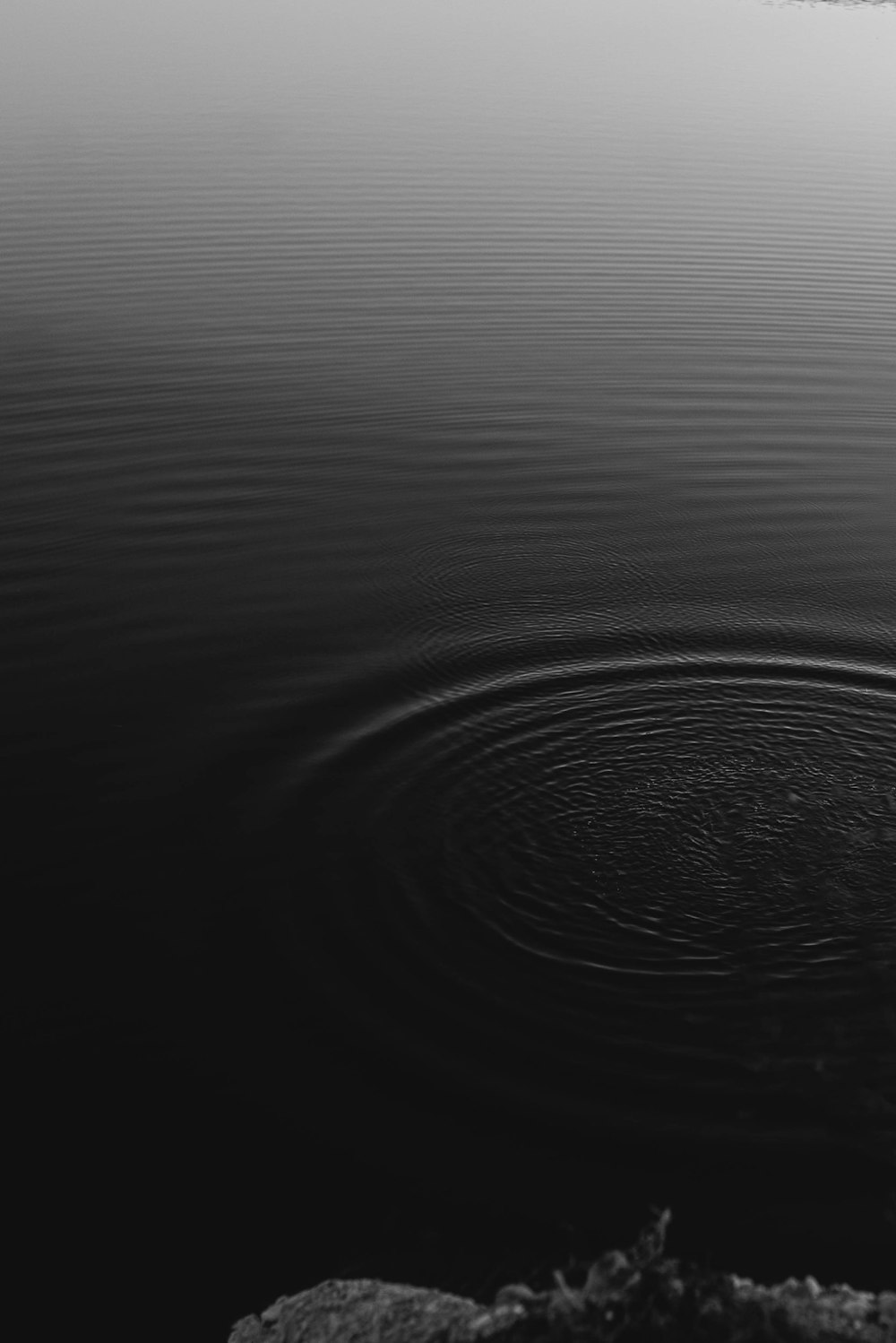 grayscale photo of water wave