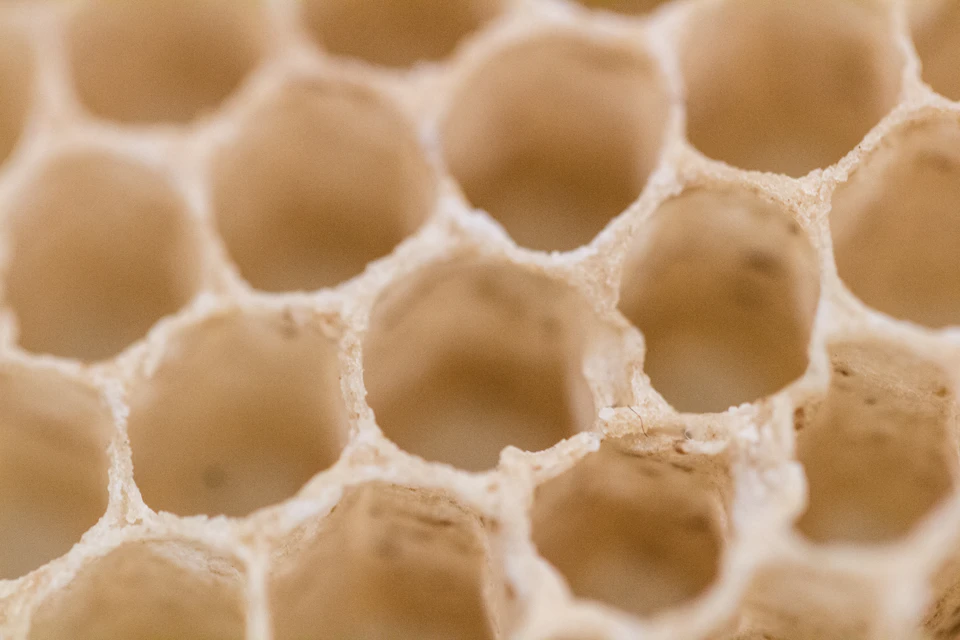 The image shows a close-up view of a honeycomb structure, composed of hexagonal cells that are light brown in color. The honeycombs are arranged in a grid-like pattern, with each cell filled with honey. The honeycombs appear to be in good condition and show no signs of damage or wear.