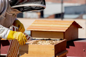 person in yellow jacket holding brown wooden box