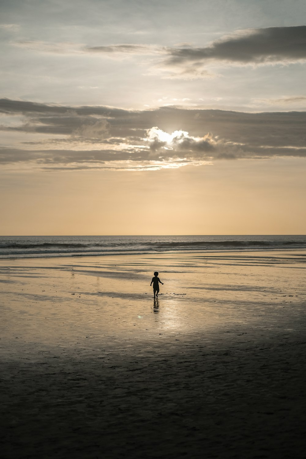 silhouette of 2 people walking on beach during sunset