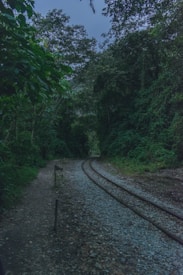 A lush green forest with a narrow railway track curving through it. The path beside the track is lined with pebbles and the dense vegetation creates a canopy overhead. The scene is enveloped in dim, natural light, adding a mystical atmosphere.