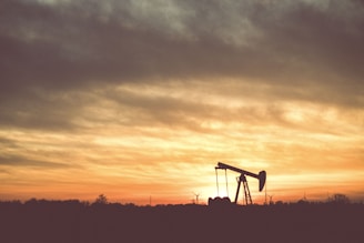 silhouette of a person standing on a ladder during sunset