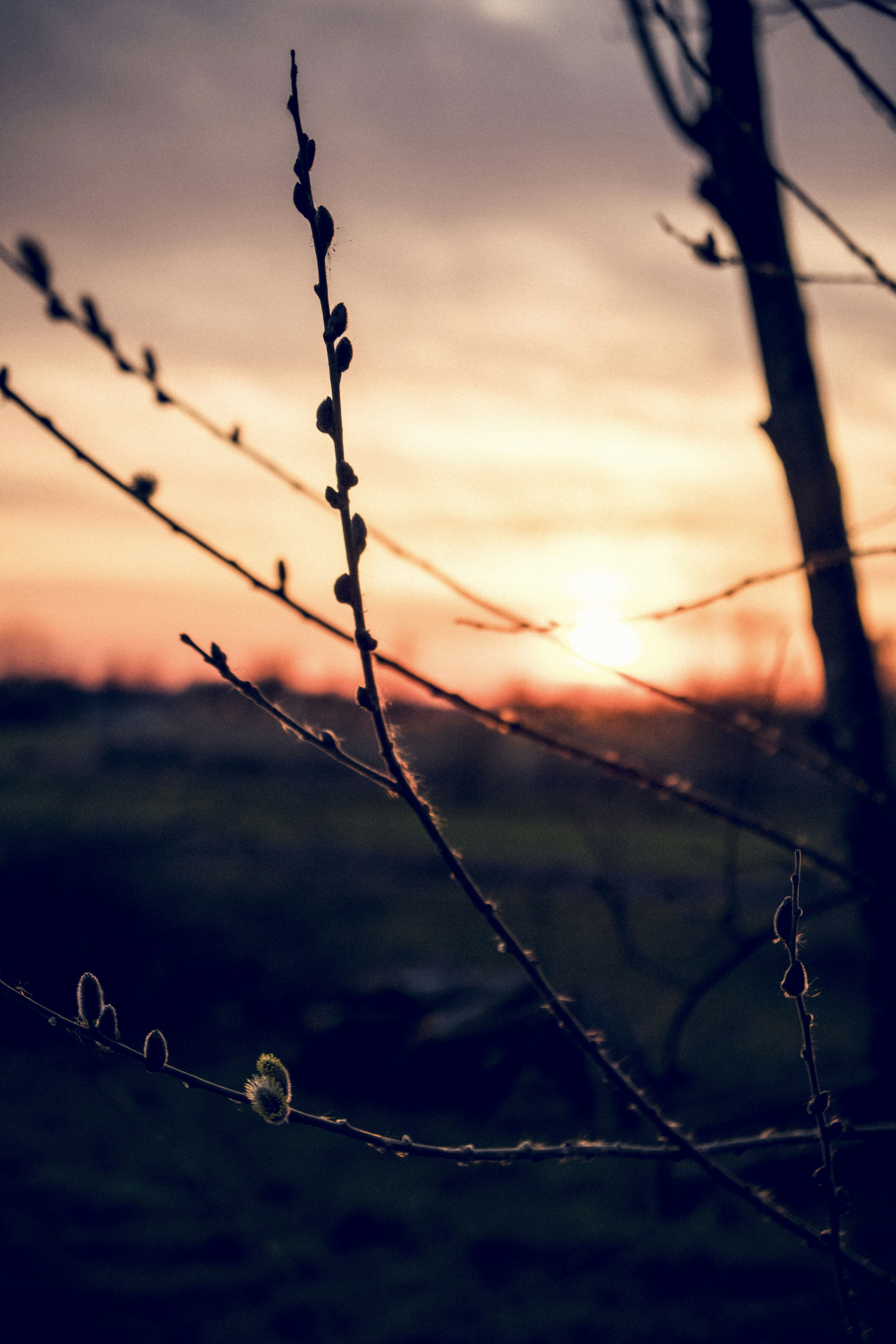 Photo by moritz_photography