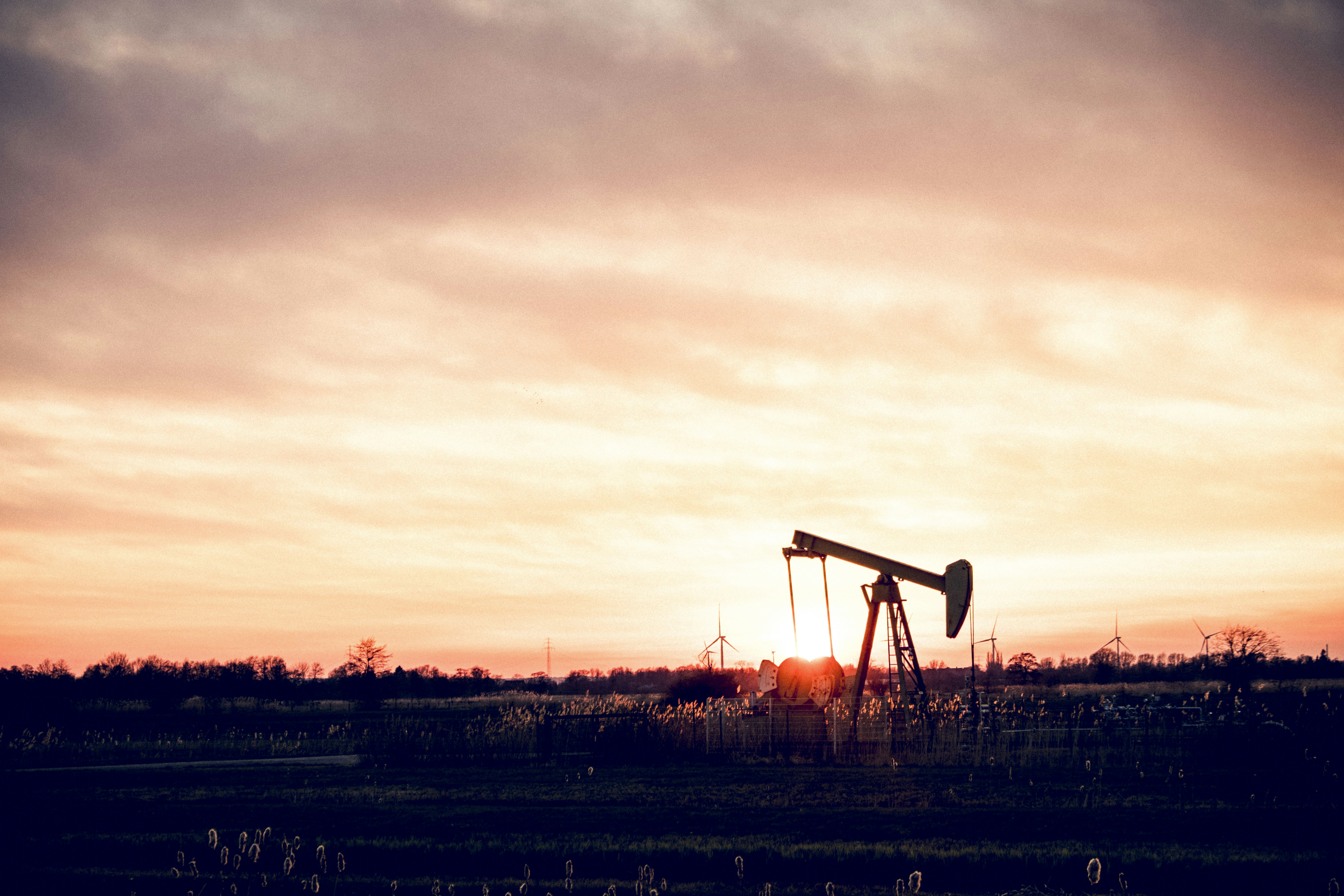 Photo by moritz_photography