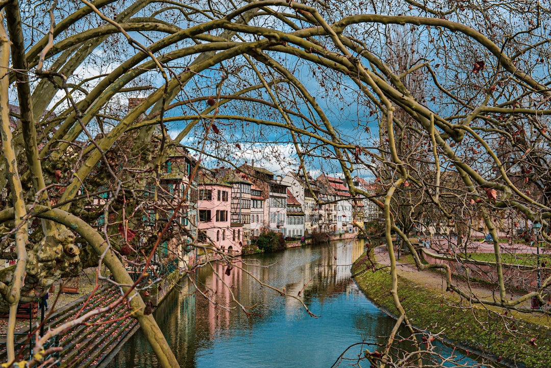 Bridge photo spot La Petite France