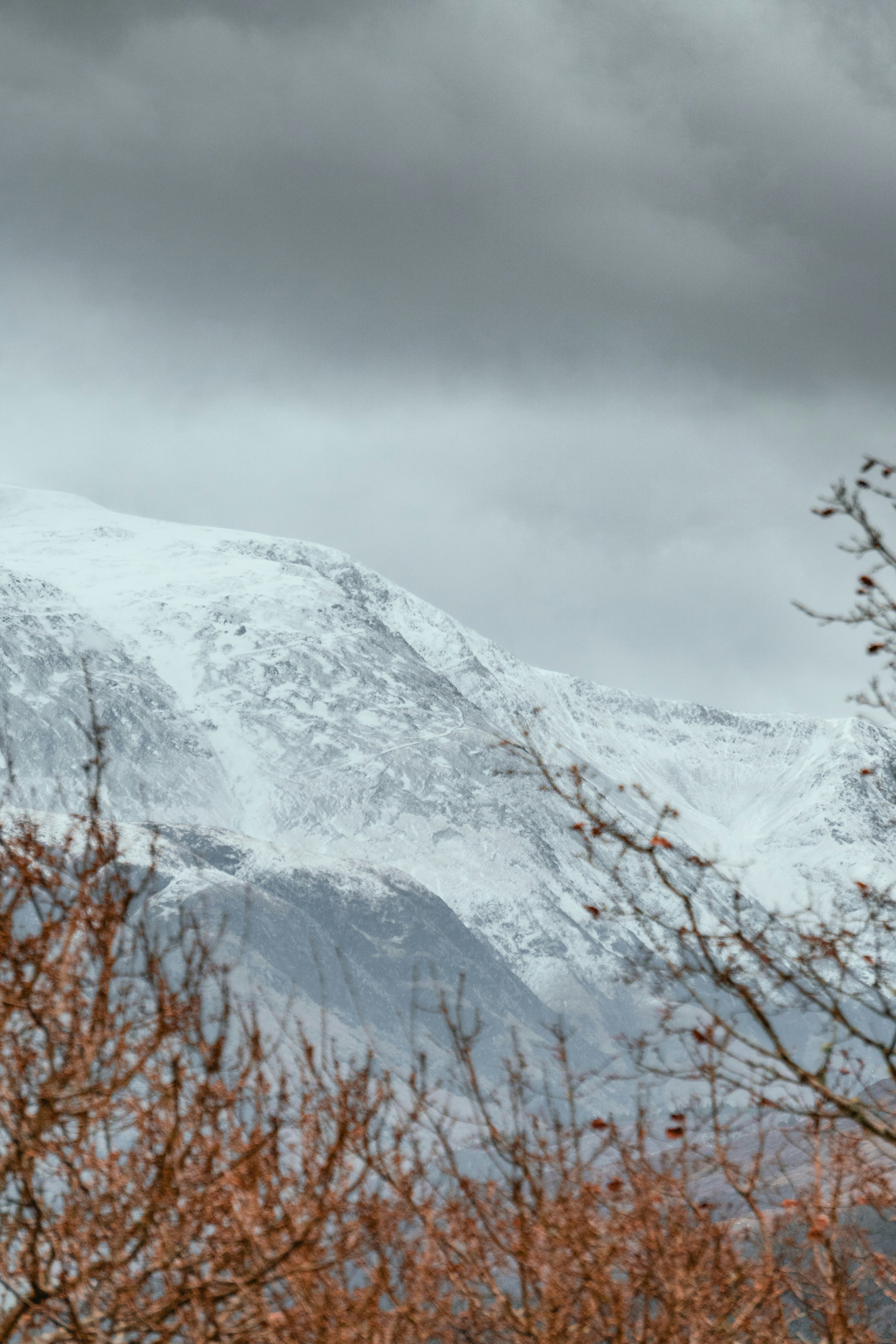 Photo by leunesmedia