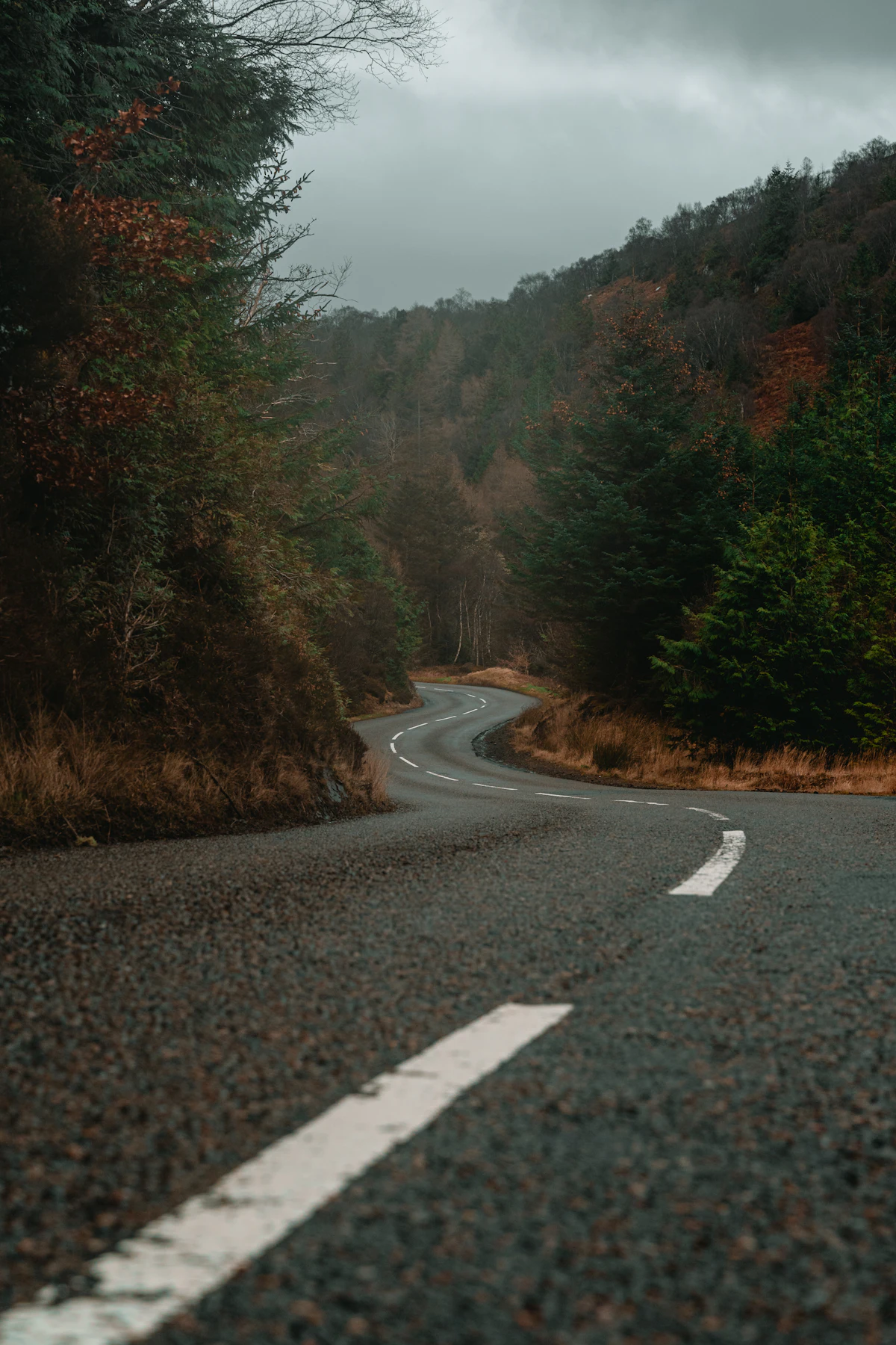 A quiet road running between green trees toward a village