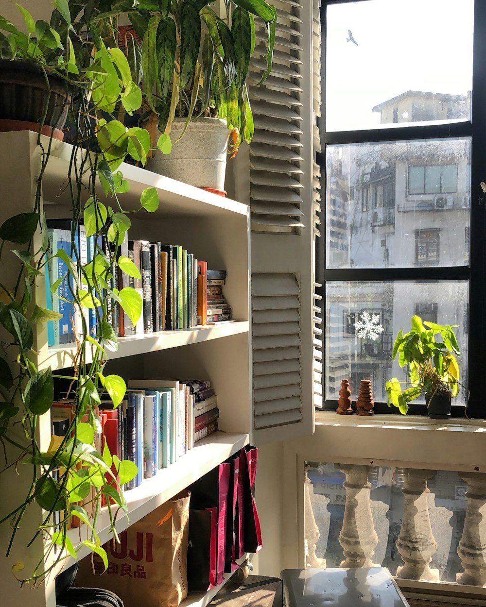 green potted plant on white wooden shelf