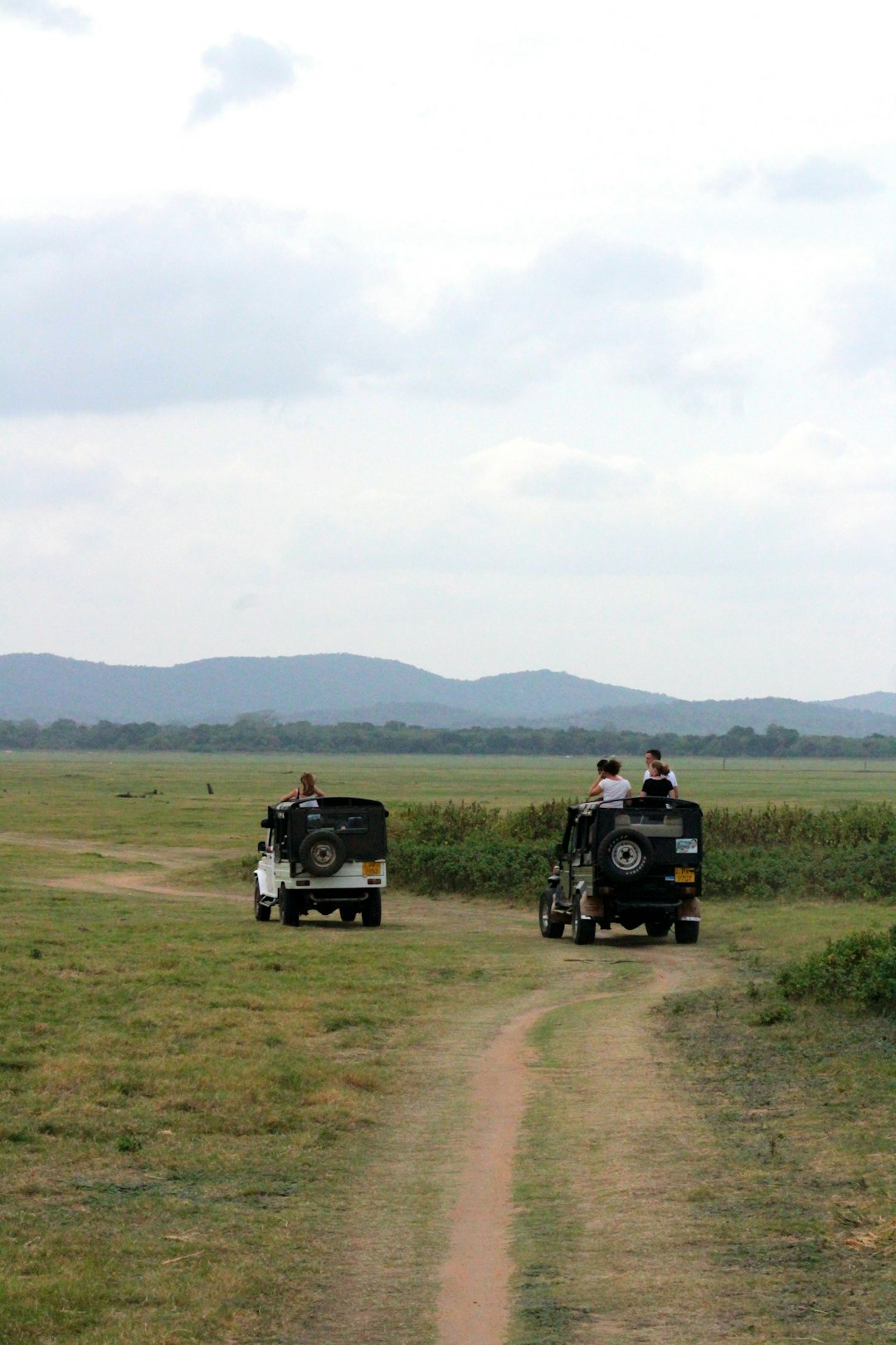photo of Minneriya Plain near Kaudulla National Park
