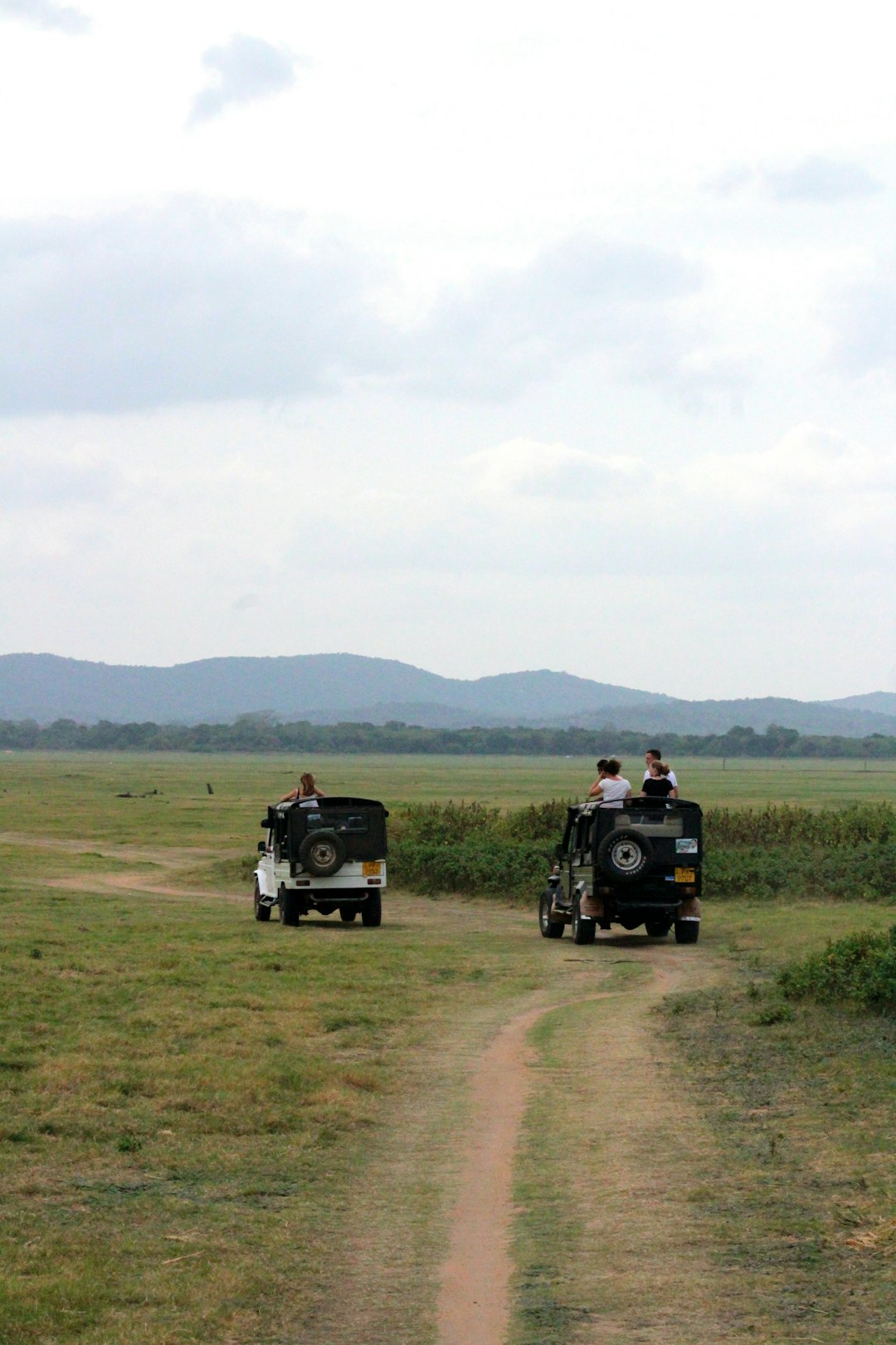 photo of Minneriya Plain near Kaudulla