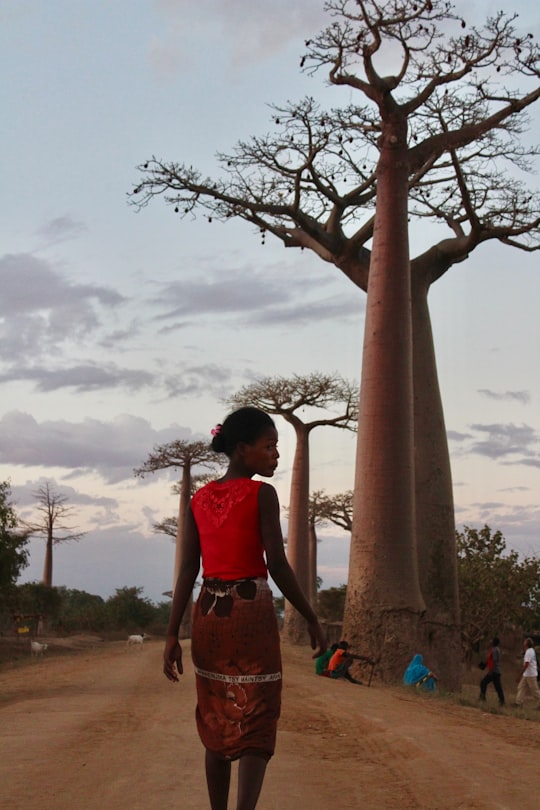 woman in red tank top standing beside brown tree during daytime in Avenue of the Baobabs Madagascar