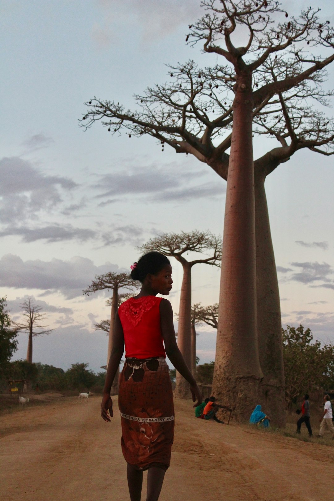 Travel Tips and Stories of Avenue of the Baobabs in Madagascar