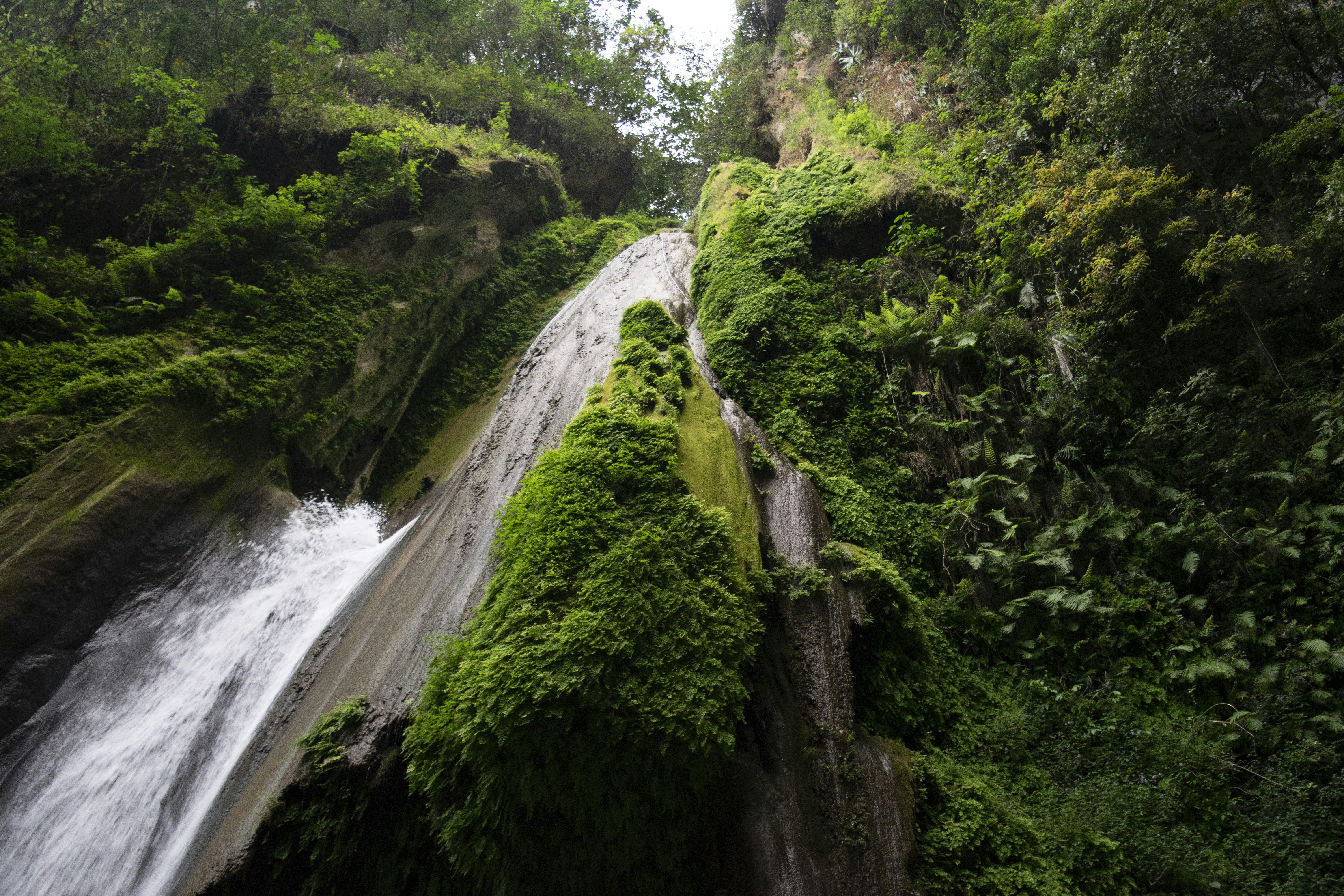 green moss on brown rock formation near water falls during daytime