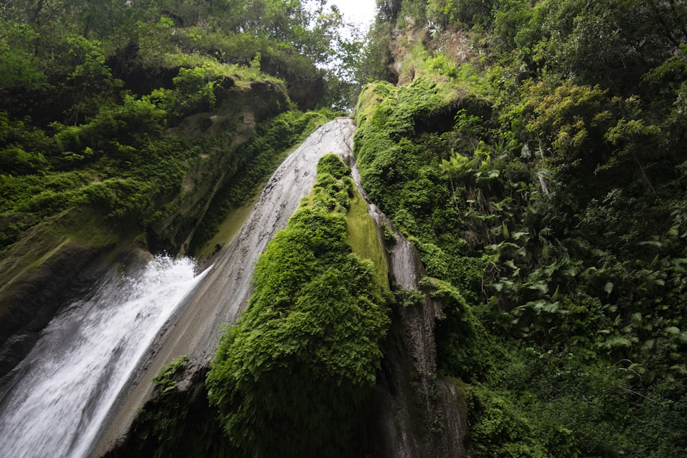 green moss on brown rock formation near water falls during daytime