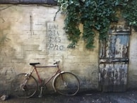 A vintage bicycle leaning against a rustic brick wall covered in ivy.
