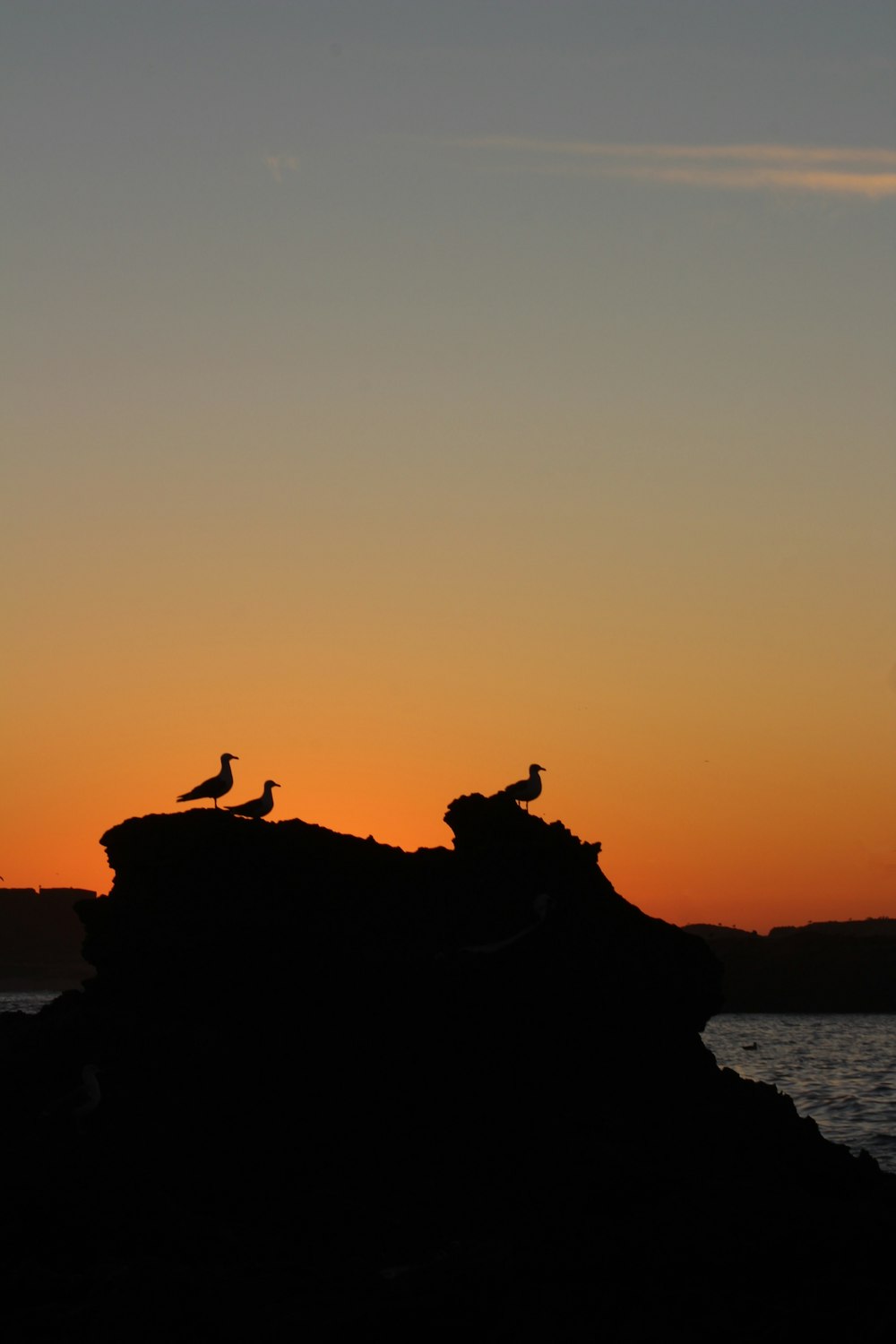 silhouette of people sitting on rock formation during sunset