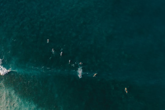aerial view of people surfing on sea during daytime in Sayulita Mexico