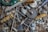 A collection of various mechanical tools and keys arranged in a chaotic manner. The image includes a variety of metallic objects such as locks, wrenches, keys, and a hand drill, among others. The items display signs of wear and use, giving a vintage and rustic feel.