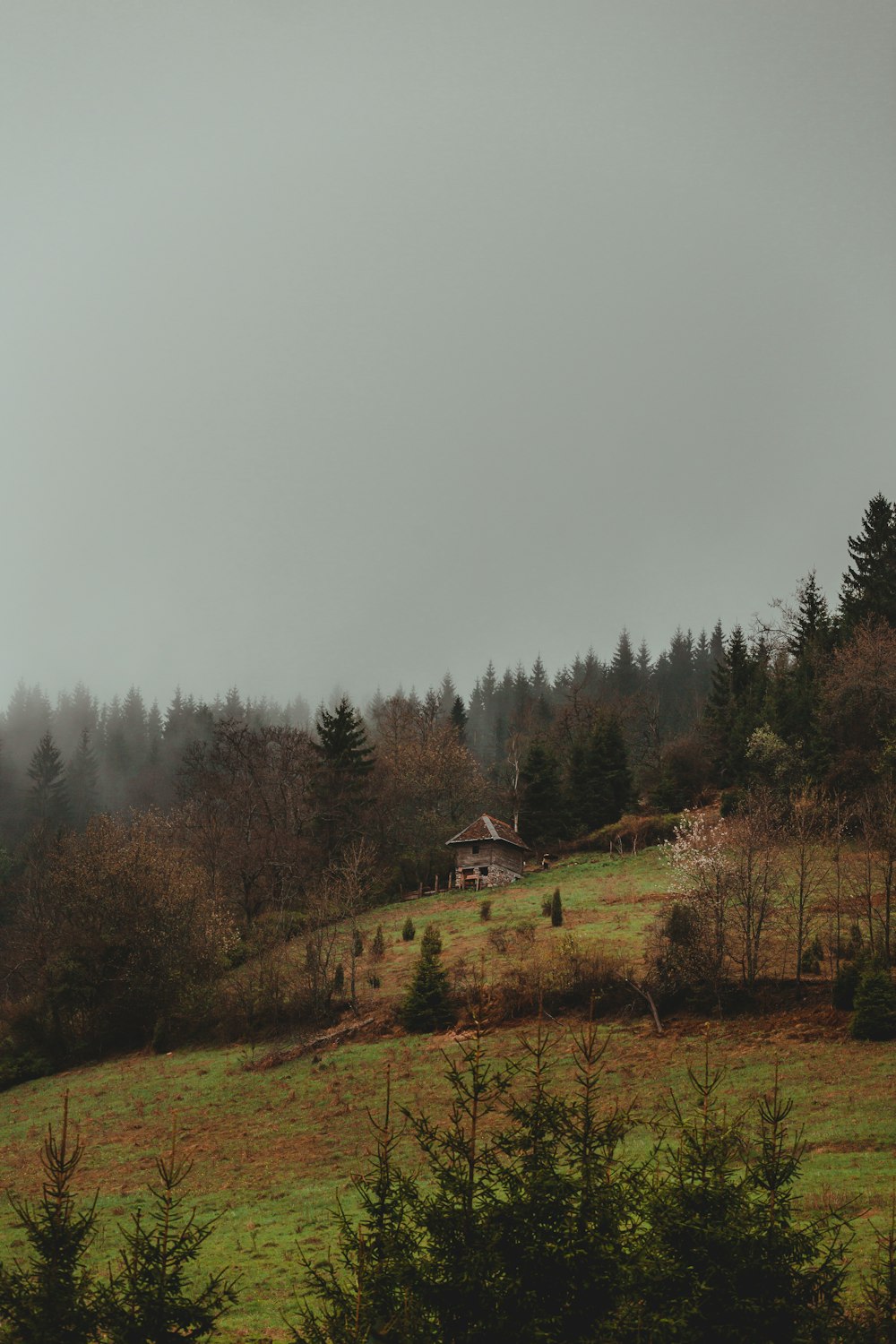 white and brown house on green grass field