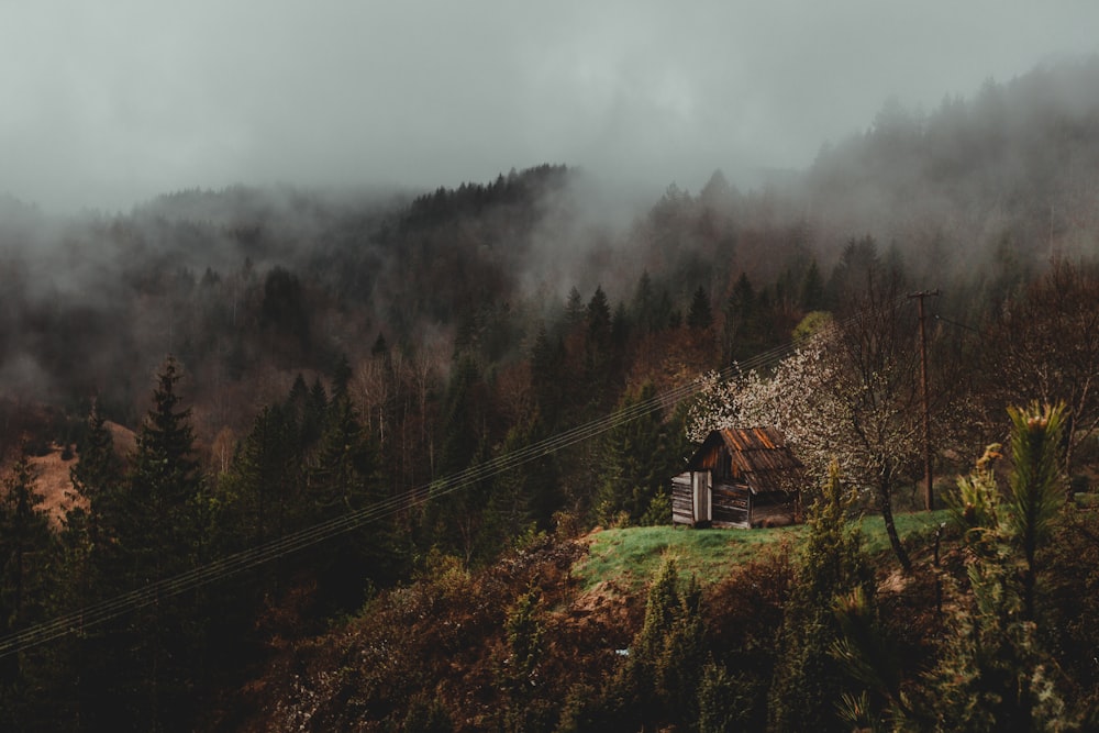 brown wooden house on top of hill