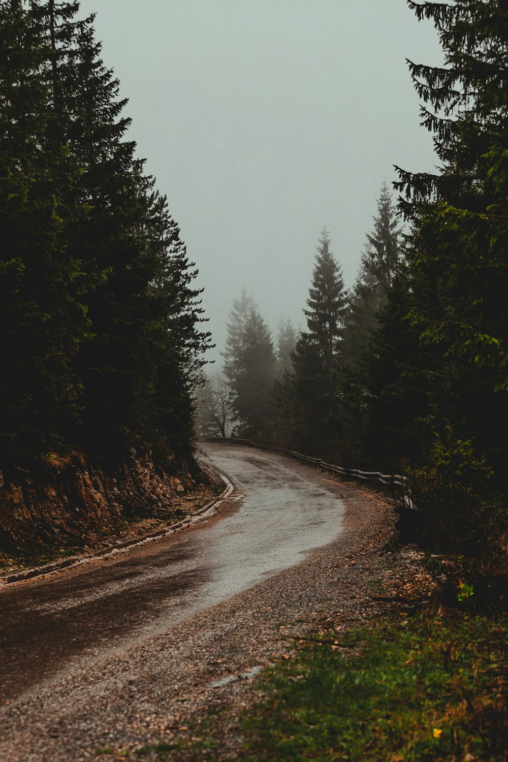 gray road between green trees