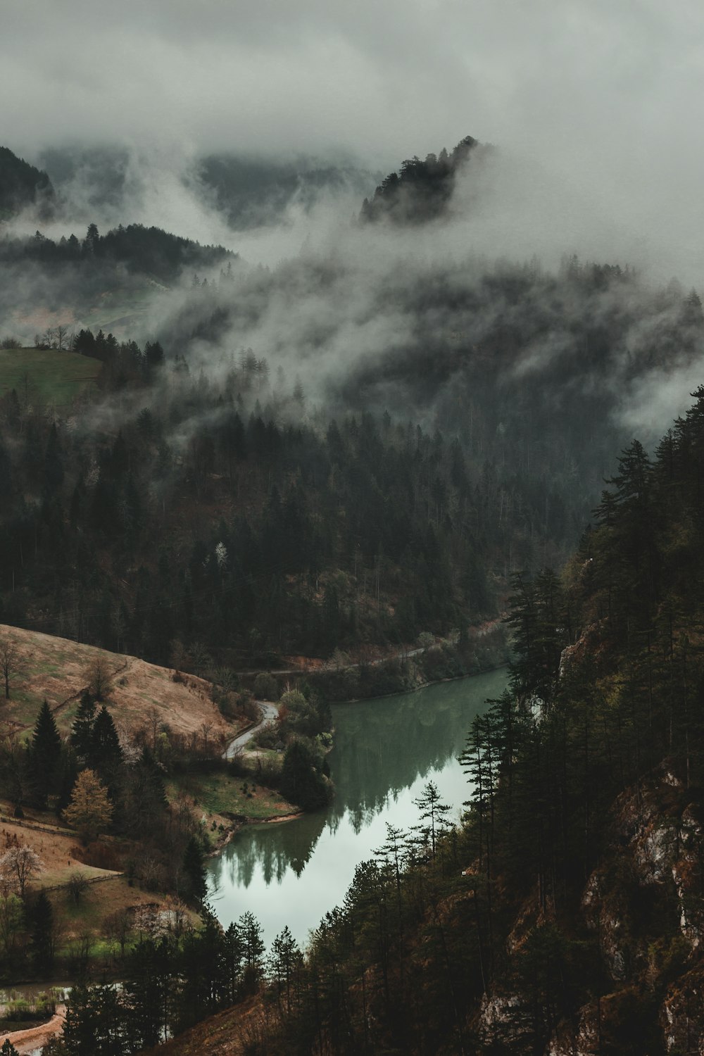 arbres verts au bord de la rivière sous des nuages blancs pendant la journée