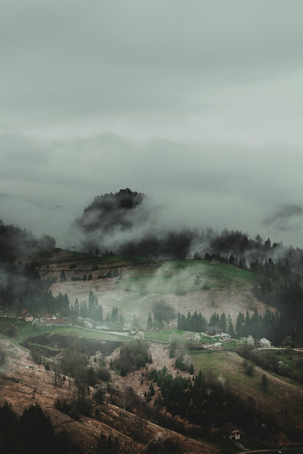 green trees on green grass field under white clouds during daytime