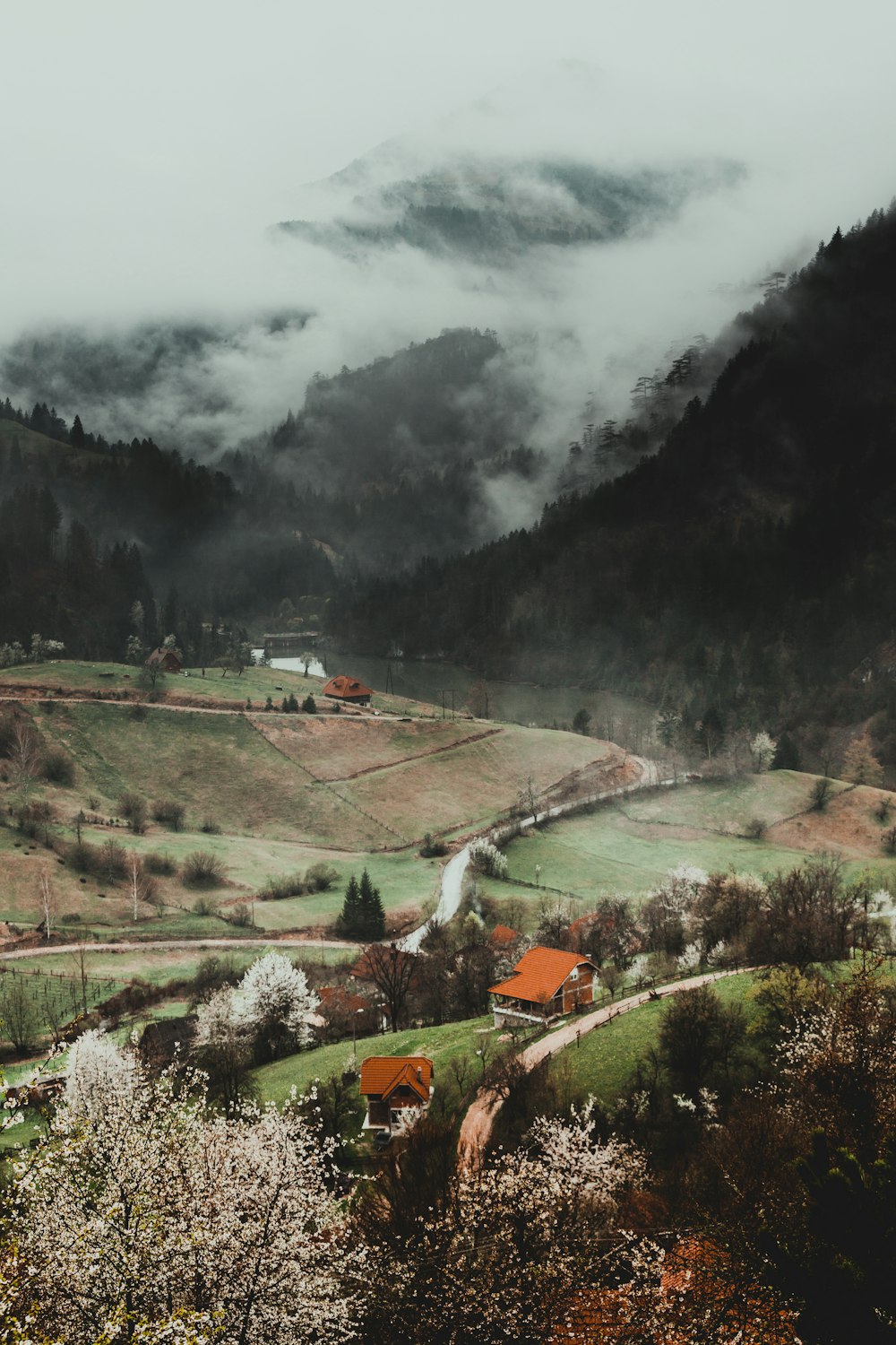 green grass field near mountain during daytime