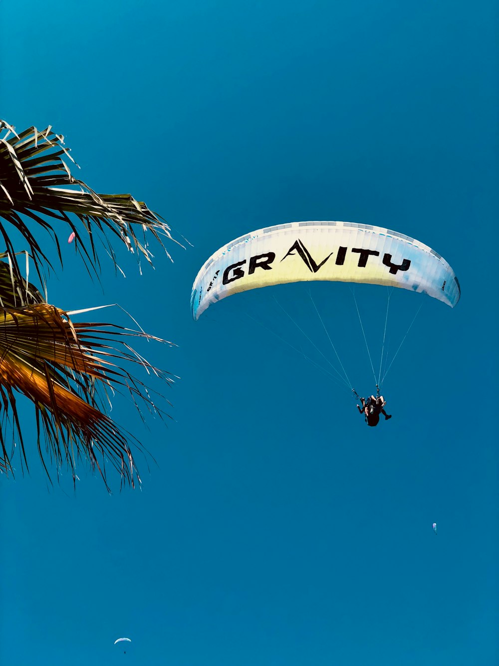 people riding parachute during daytime