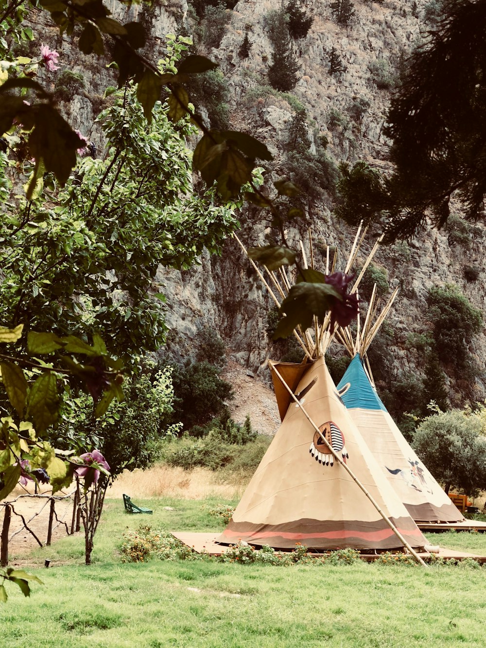 tenda marrone sul campo di erba verde durante il giorno