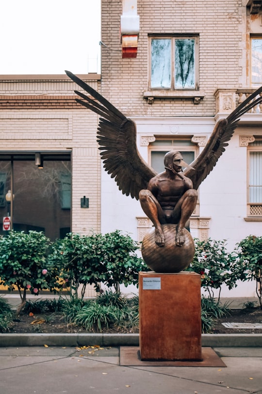 brown concrete statue of man holding book in Sacramento United States