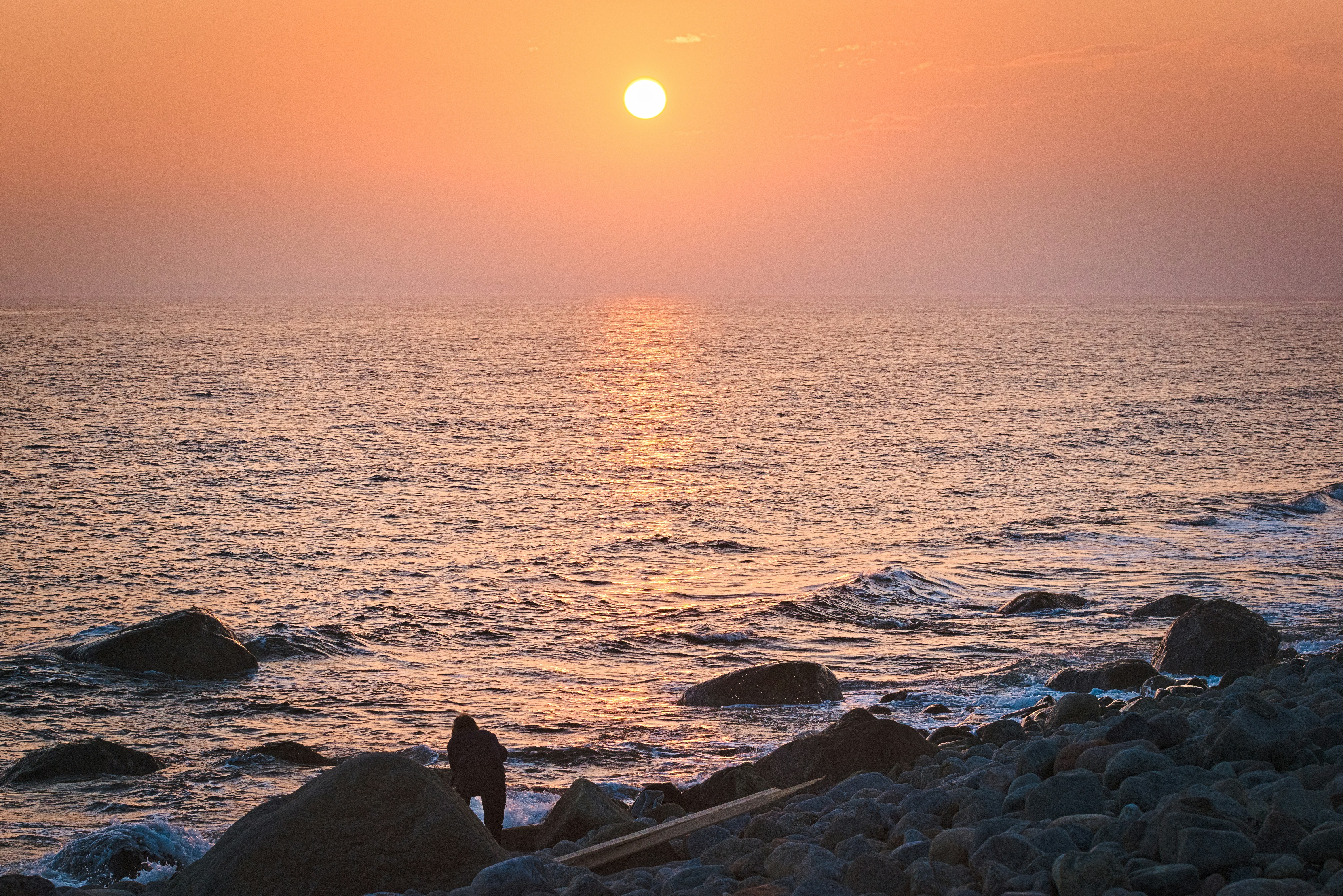 Photo by dariuszpi