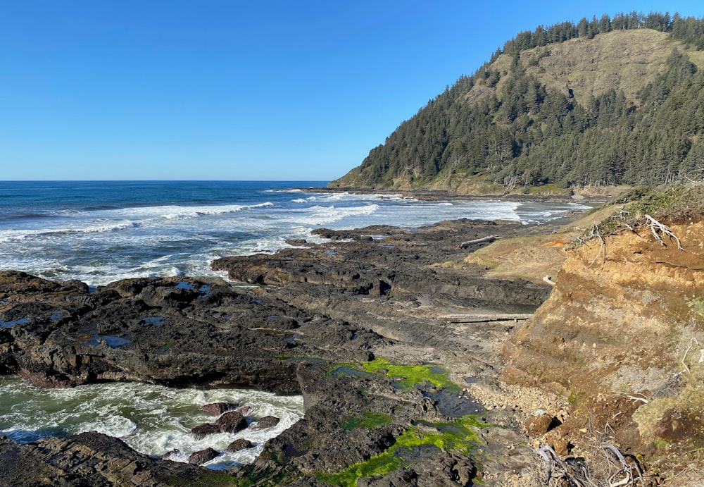 brown rocky shore near body of water during daytime