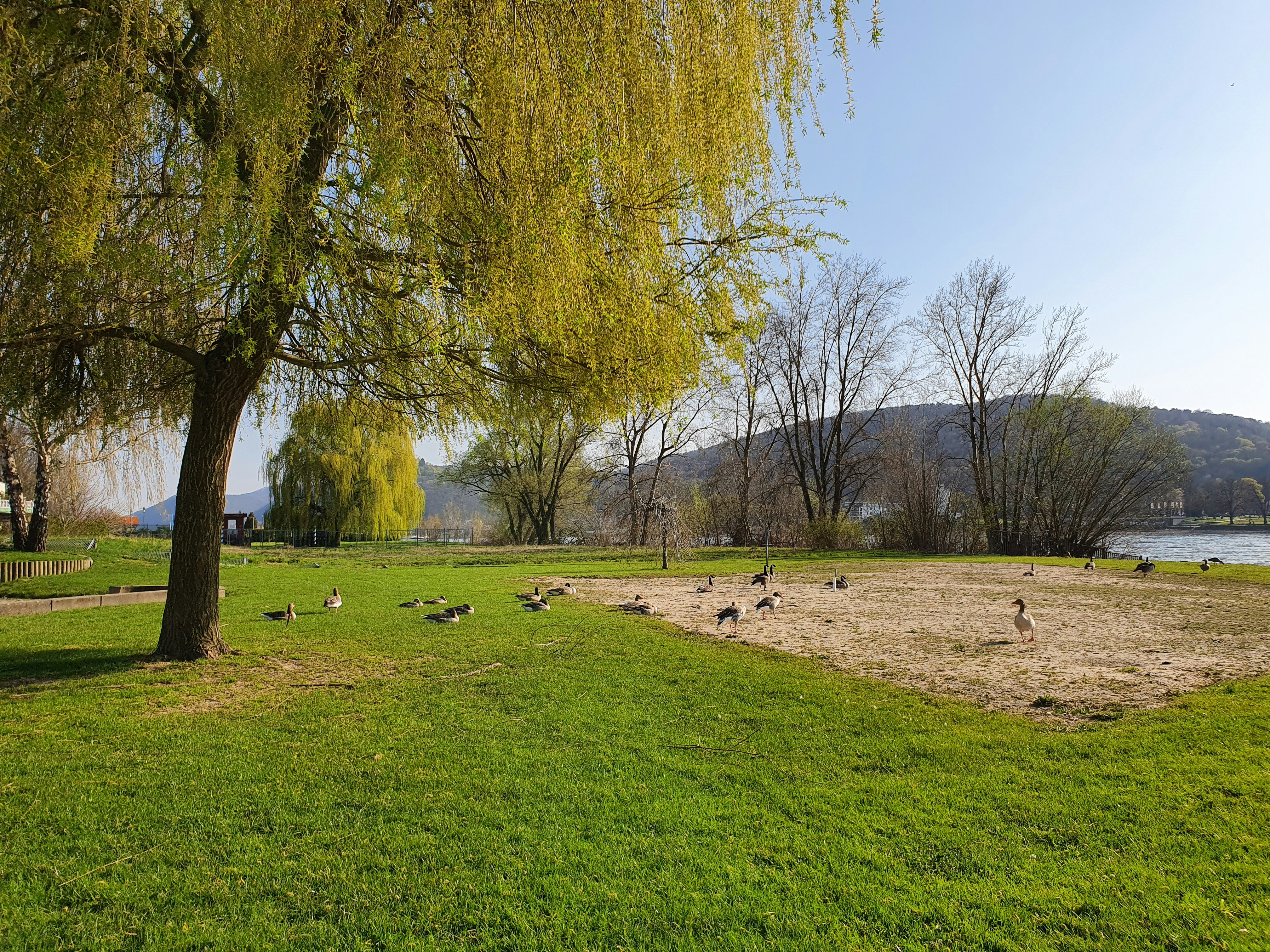Sunnyside State Wildlife Recreation Area