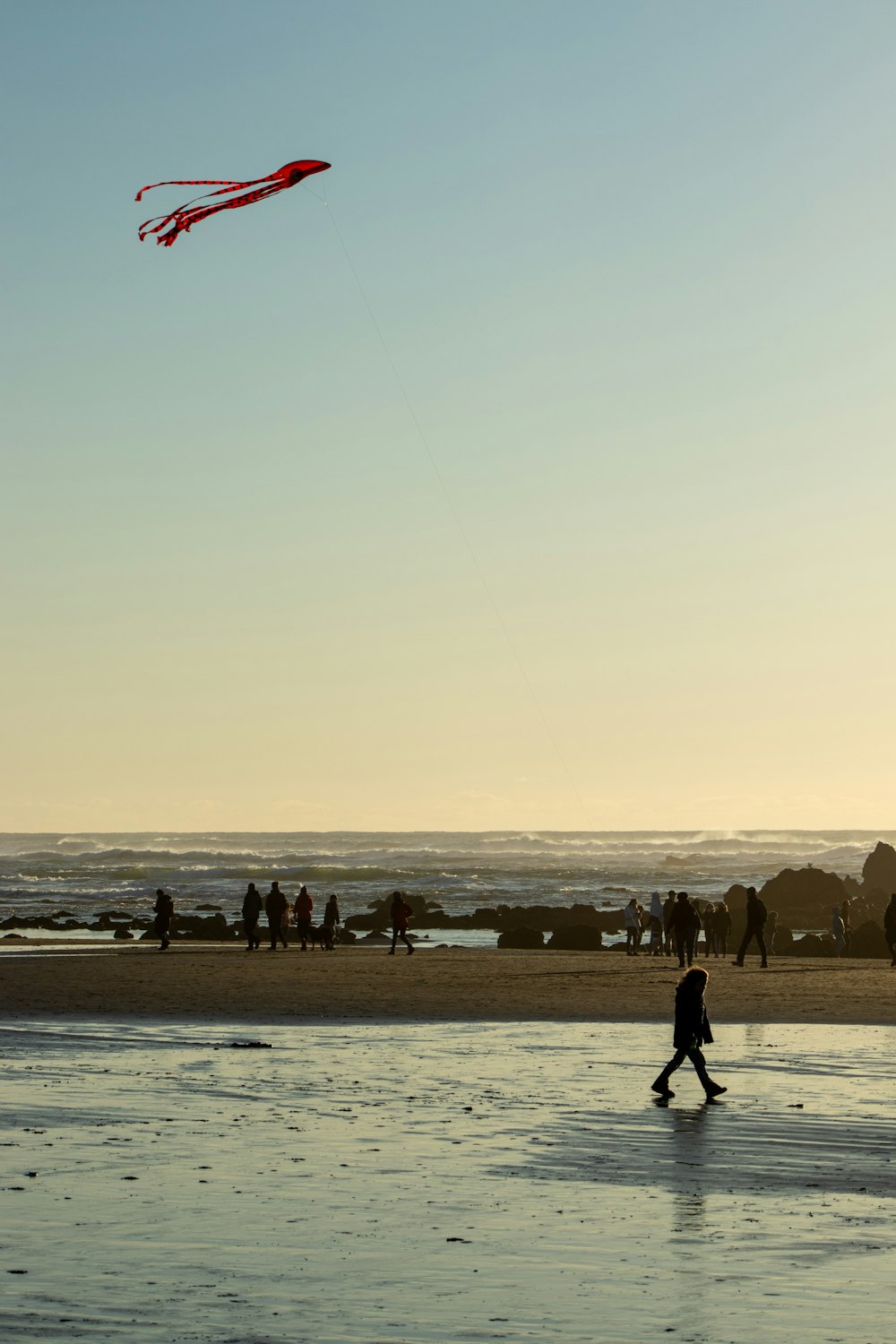 people on beach during daytime