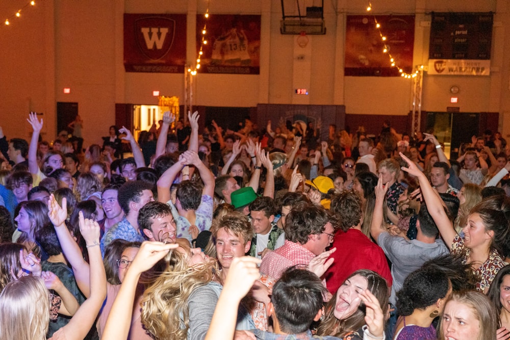 people gathering in a concert