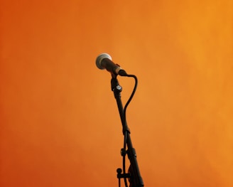 black and gray microphone with stand