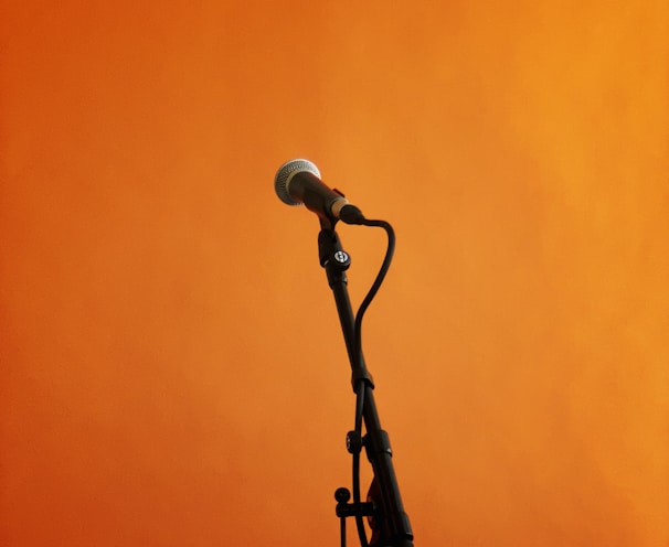 black and gray microphone with stand