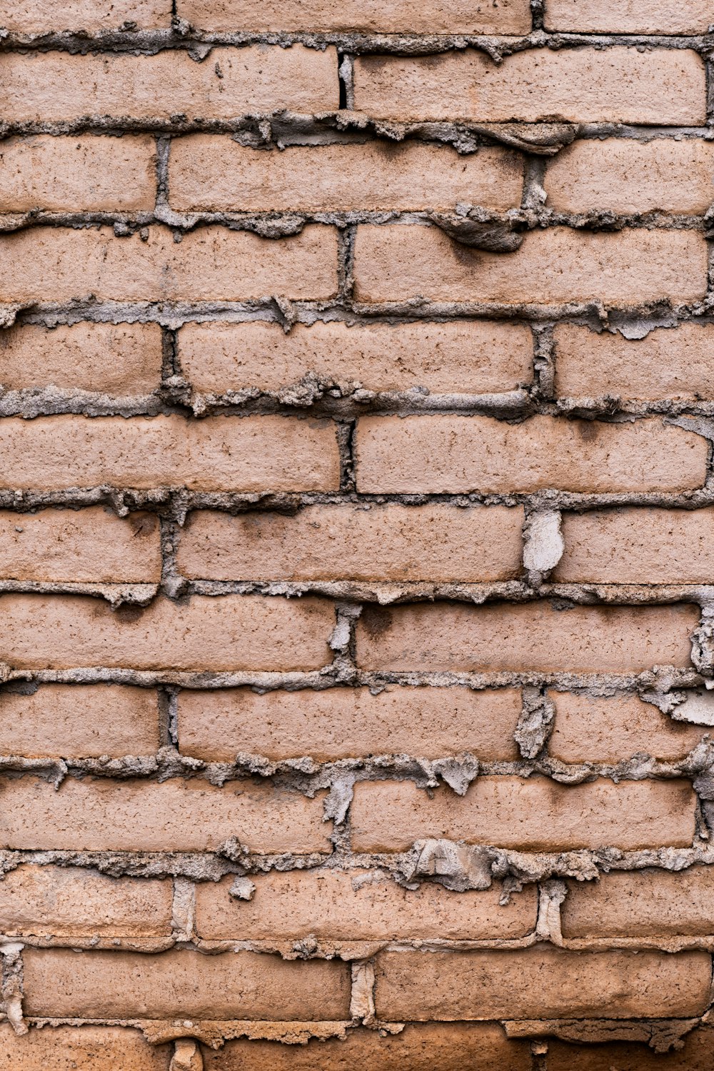 mur de briques brunes et blanches